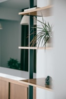 A minimalist wooden shelf displaying small plants and keepsakes in soft natural light.