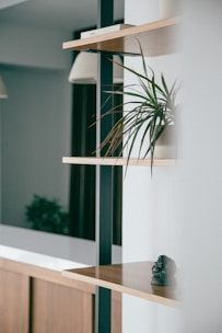 A minimalist interior space with wooden shelves mounted on a wall. A small green plant with long leaves is placed on one shelf, and a small decorative figurine sits on another. The background is softened, emphasizing the clean lines and natural textures of the furniture.