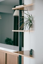 A minimalist interior space with wooden shelves mounted on a wall. A small green plant with long leaves is placed on one shelf, and a small decorative figurine sits on another. The background is softened, emphasizing the clean lines and natural textures of the furniture.