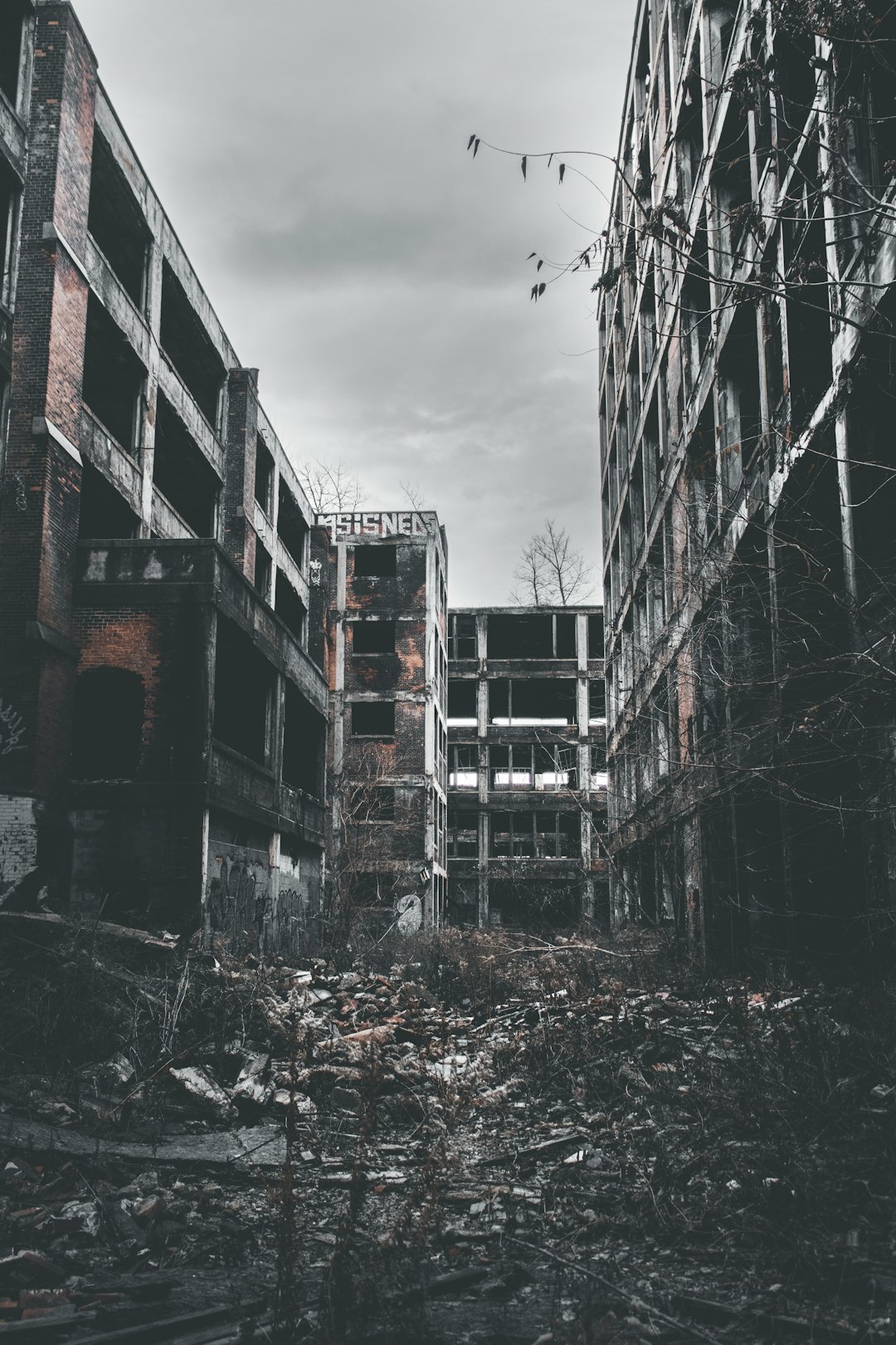 Detroit Ruins