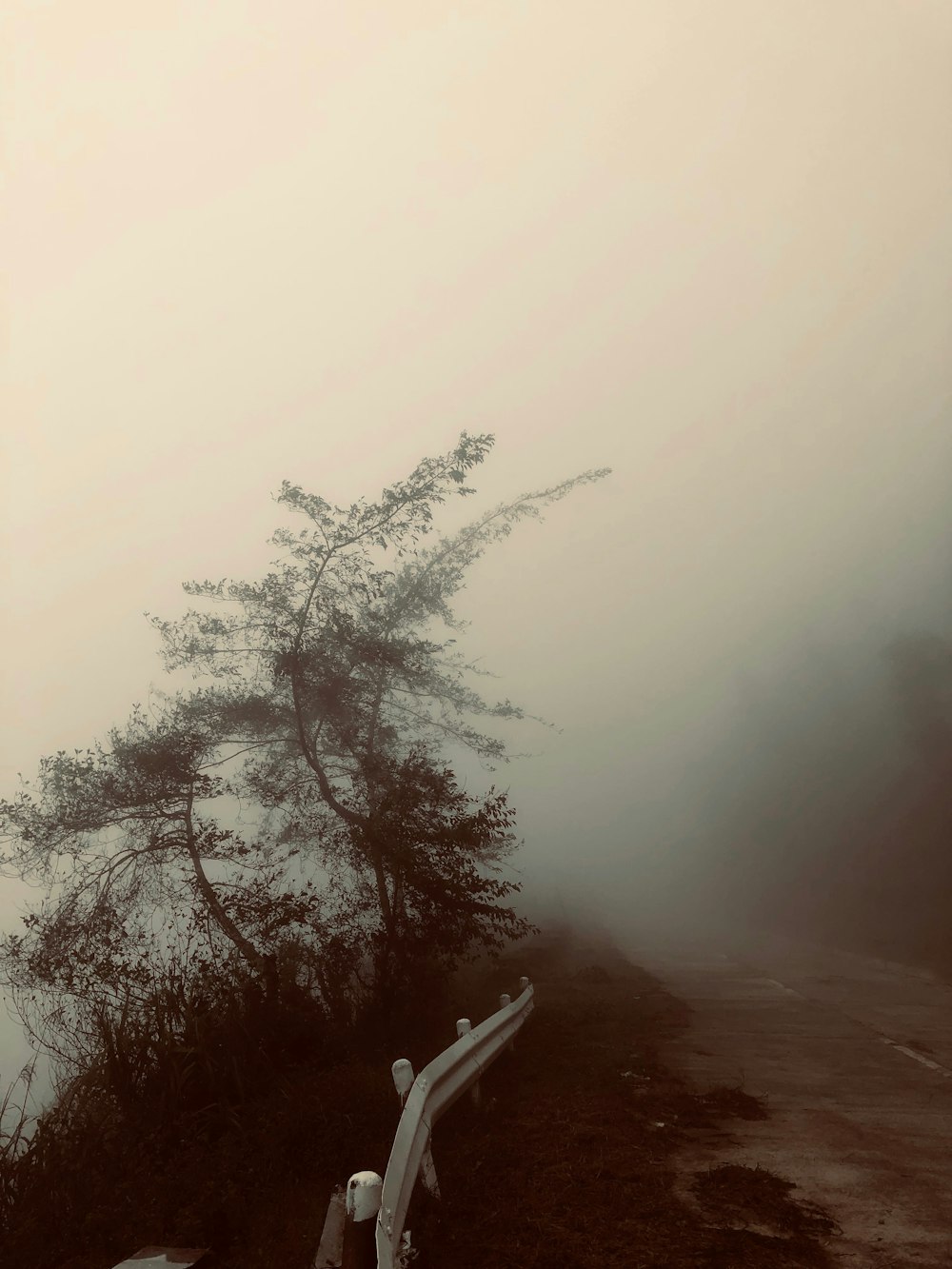 route entourée de brouillards