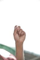 A close-up of a raised fist symbolizing resistance and unity.