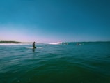 Several surfers in the ocean, with one closer to the camera sitting on a surfboard and others riding waves in the background. The sky is clear and blue, and the water appears calm and deep blue with small waves. A distant tree-lined shore is visible on the left side of the image.