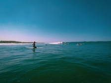 Several surfers in the ocean, with one closer to the camera sitting on a surfboard and others riding waves in the background. The sky is clear and blue, and the water appears calm and deep blue with small waves. A distant tree-lined shore is visible on the left side of the image.