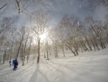 Students hiking through a snowy Lapland forest under a soft purple twilight.