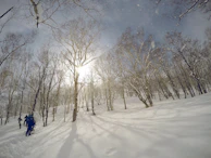 Young beginners practicing safe snow travel under watchful guidance in a winter forest setting.