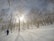 A snowy forest scene with sunlight filtering through leafless trees under a clear sky. A group of people in winter gear is trekking through the fresh snow, creating a serene and adventurous atmosphere.