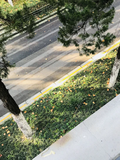 A close-up of a clean, well-maintained city street with fresh road markings and tidy sidewalks.