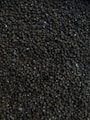 photo of mung beans