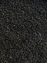 photo of mung beans