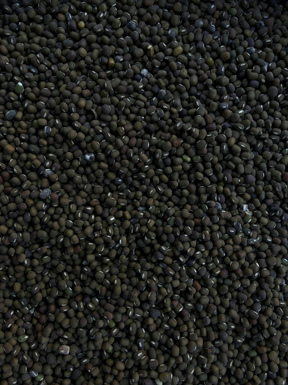 photo of mung beans