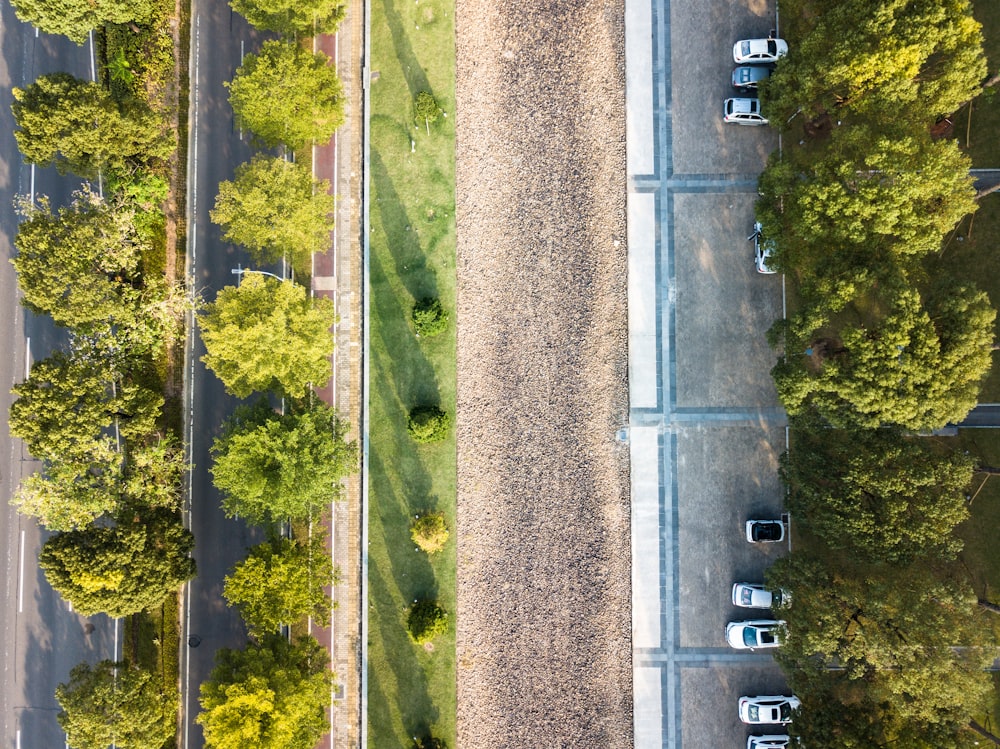 aerial photo of trees and vehicles