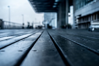 A wooden deck extends into the distance, with a low angle perspective that emphasizes the texture of the wooden planks. In the background, an out-of-focus urban environment features modern buildings and structures. The image is slightly desaturated, with a cool color tone.