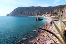 A picturesque coastal landscape with turquoise waters gently lapping against a rocky shoreline. A sandy beach stretches along the coast, with colorful buildings nestled at the foot of lush, green hills. A few people are visible enjoying the beach, and a prominent rocky formation juts into the sea. In the foreground, a large spiky plant adds depth to the scene.