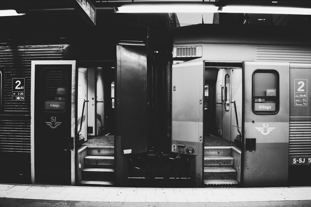 grayscale photography of train