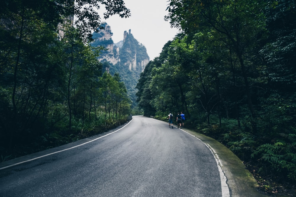 bike beside road between trees