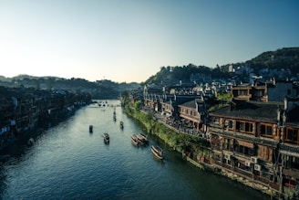 bird's-eye view photography of boats near houses
