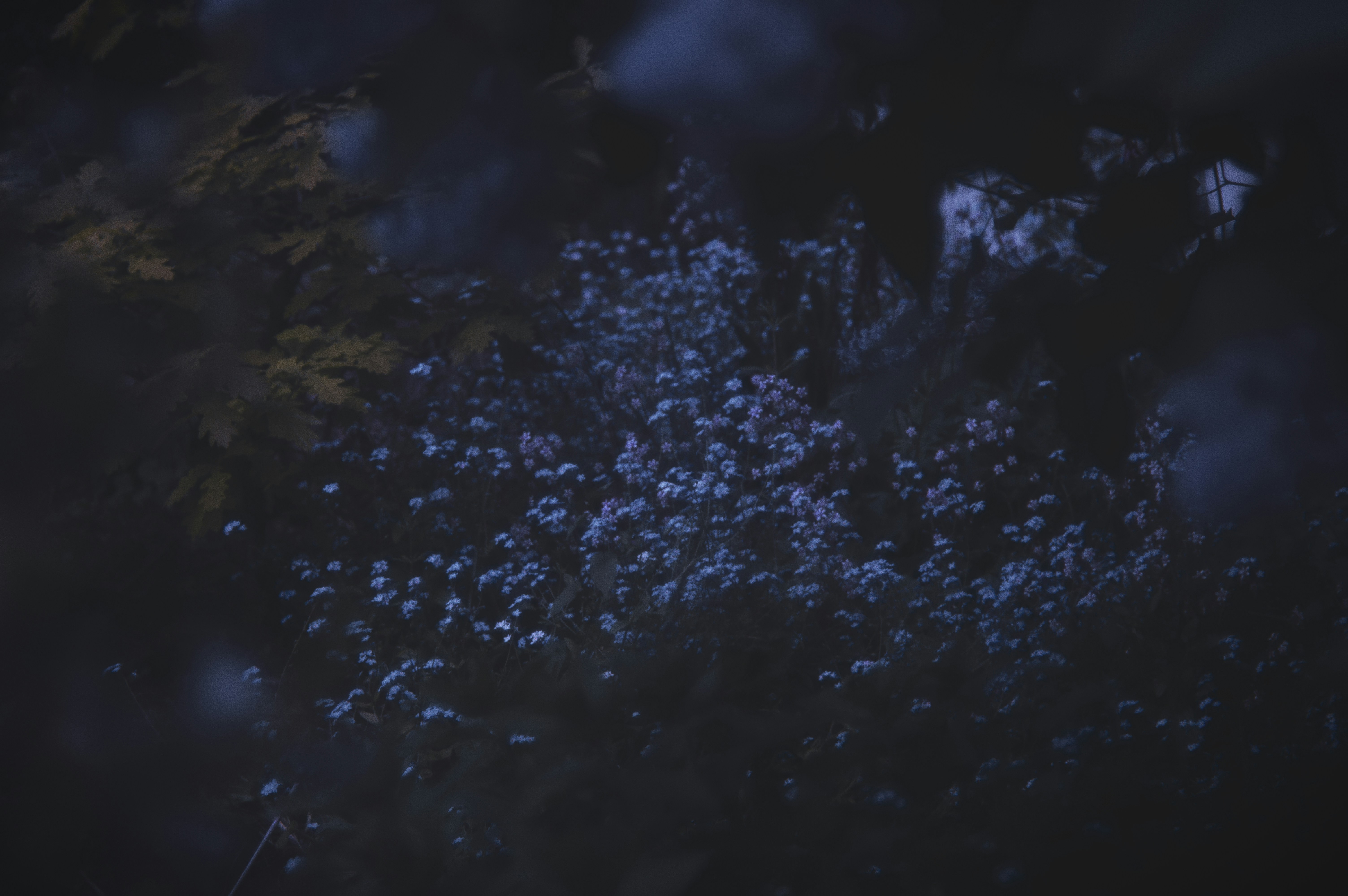 black and white floral textile