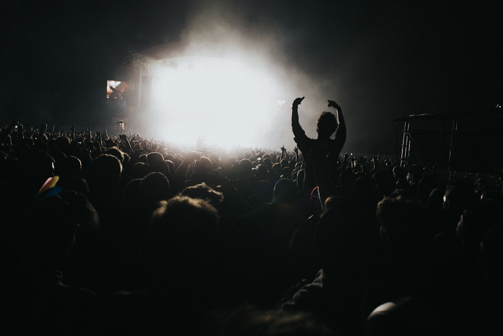 silhouette photography of people in concert