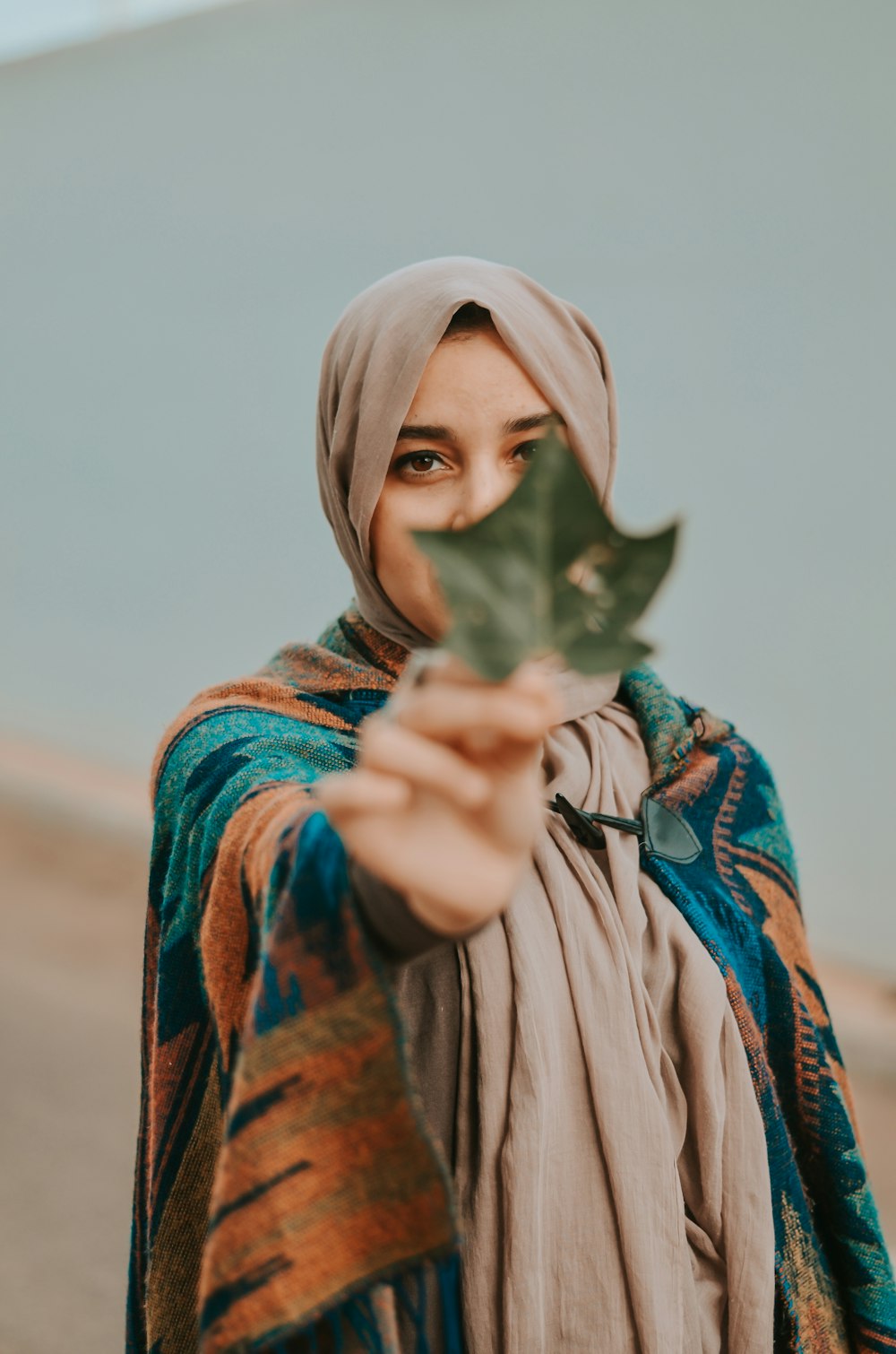woman holding green palmate leafed plant
