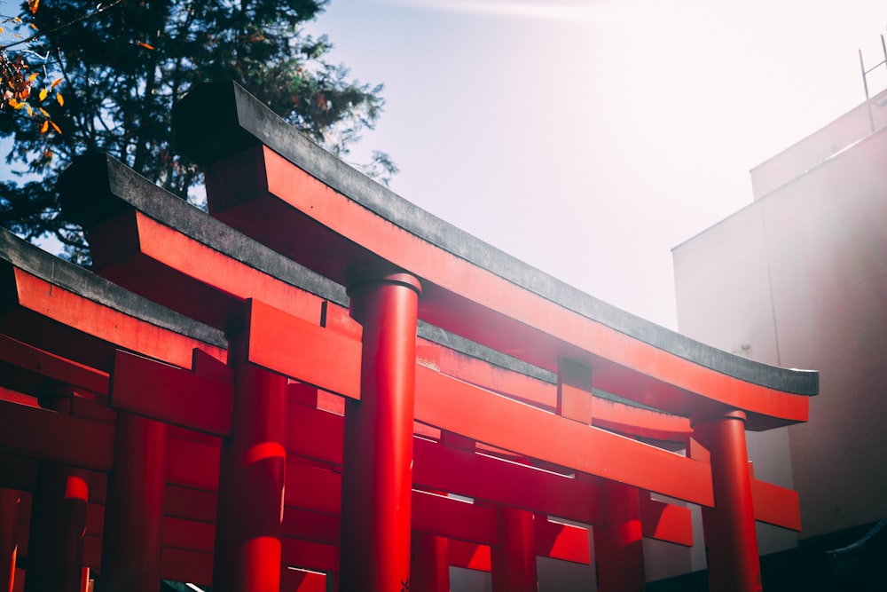 red-and-black Torii gates during day