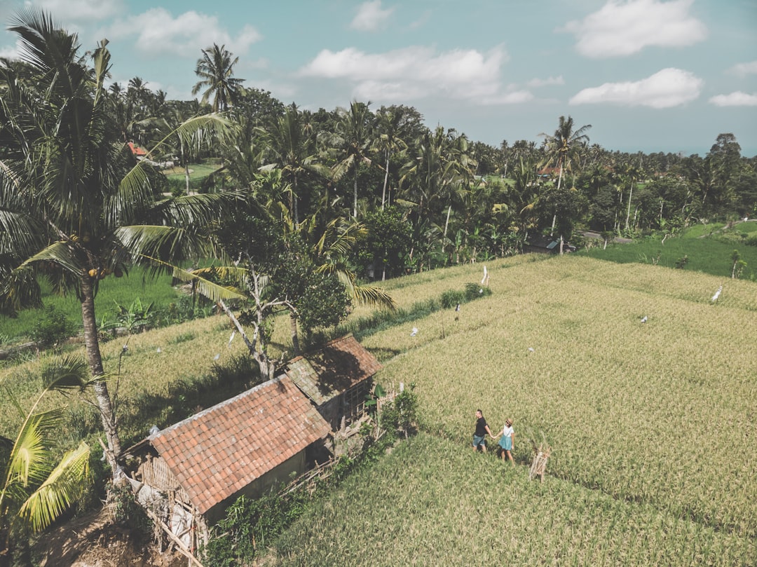 couple walking on crop field