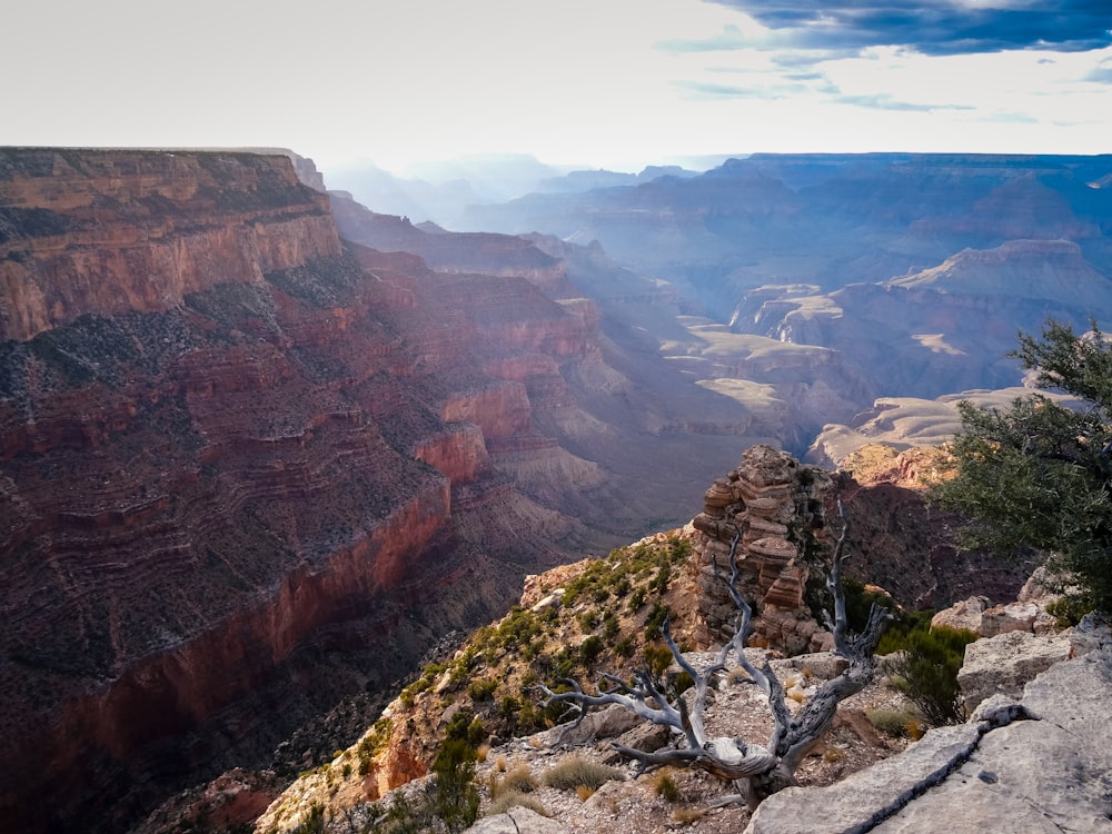 bird's eye view photography of mountains