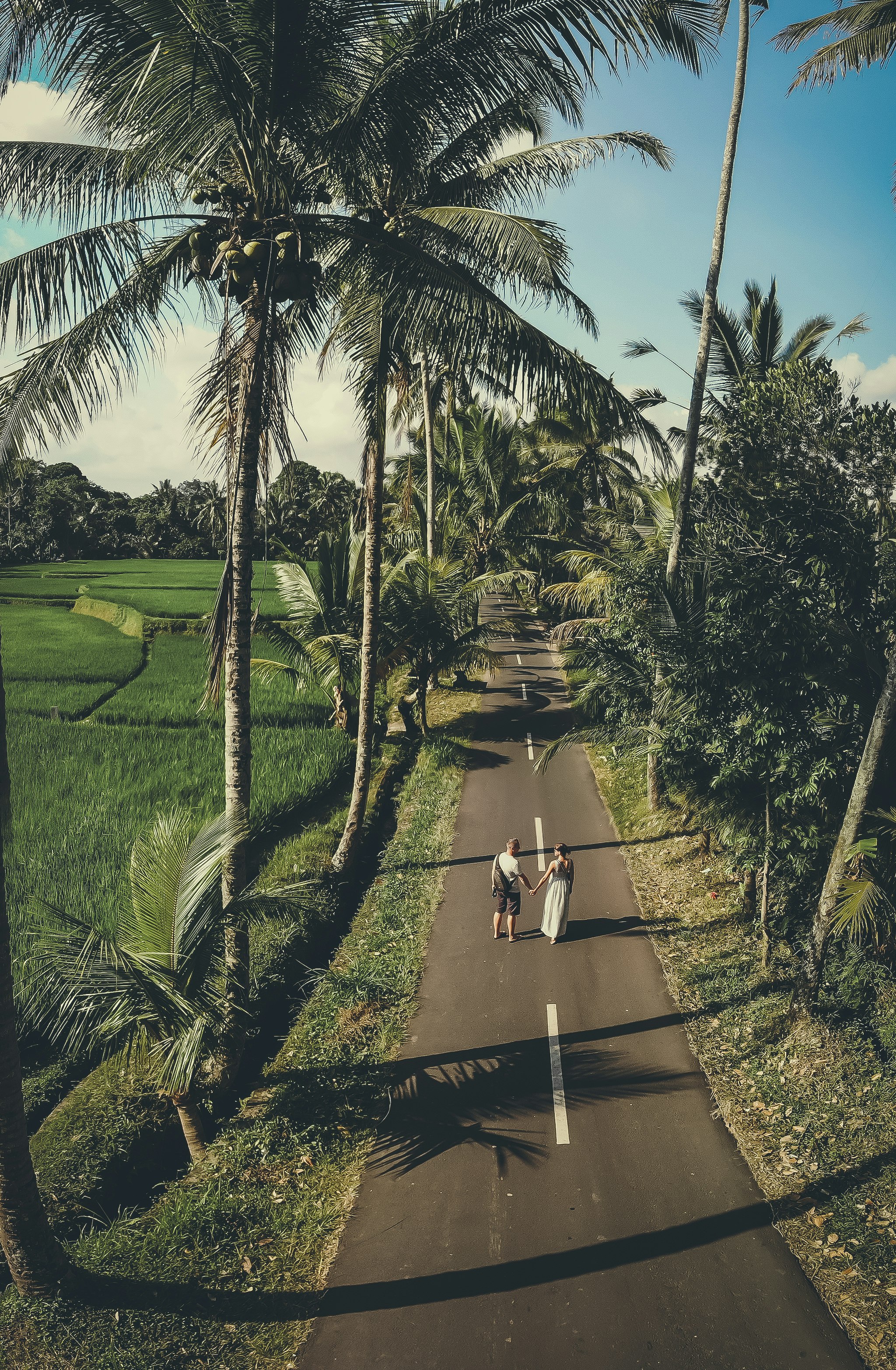 couple standing on road near trees