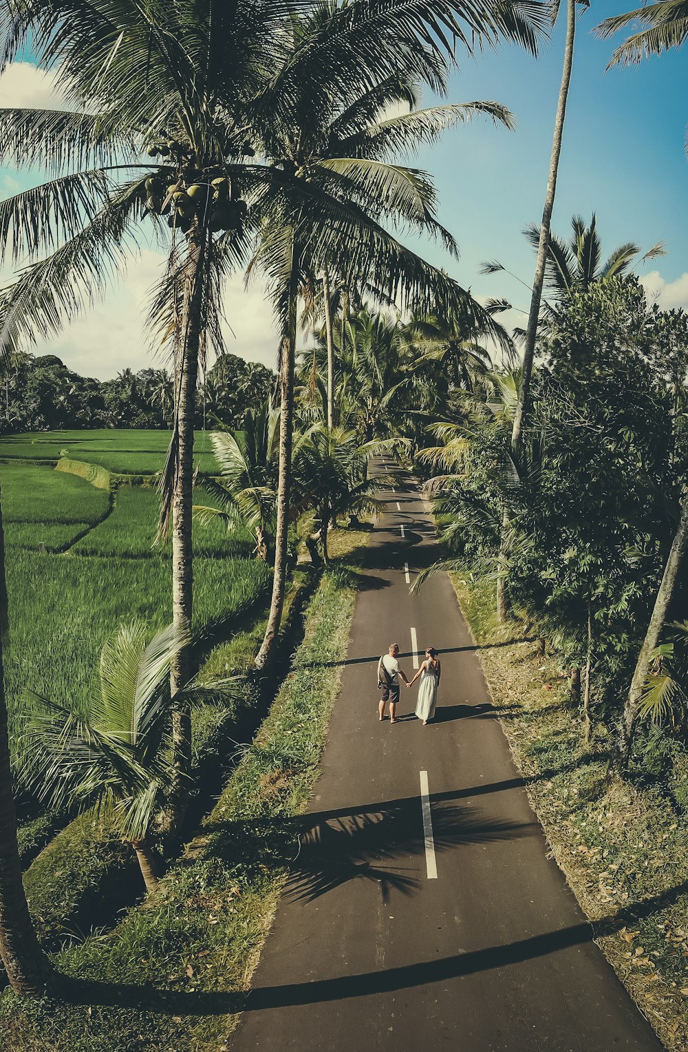 couple standing on road near trees