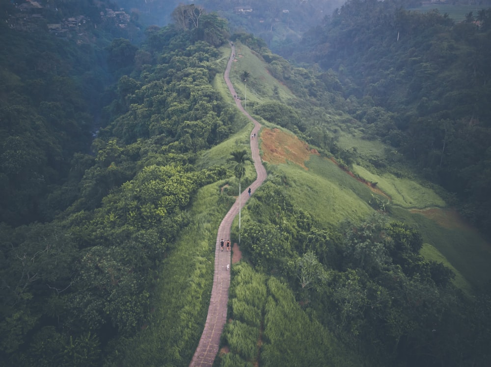 green covered mountain with gray concrete walking path aerial photography