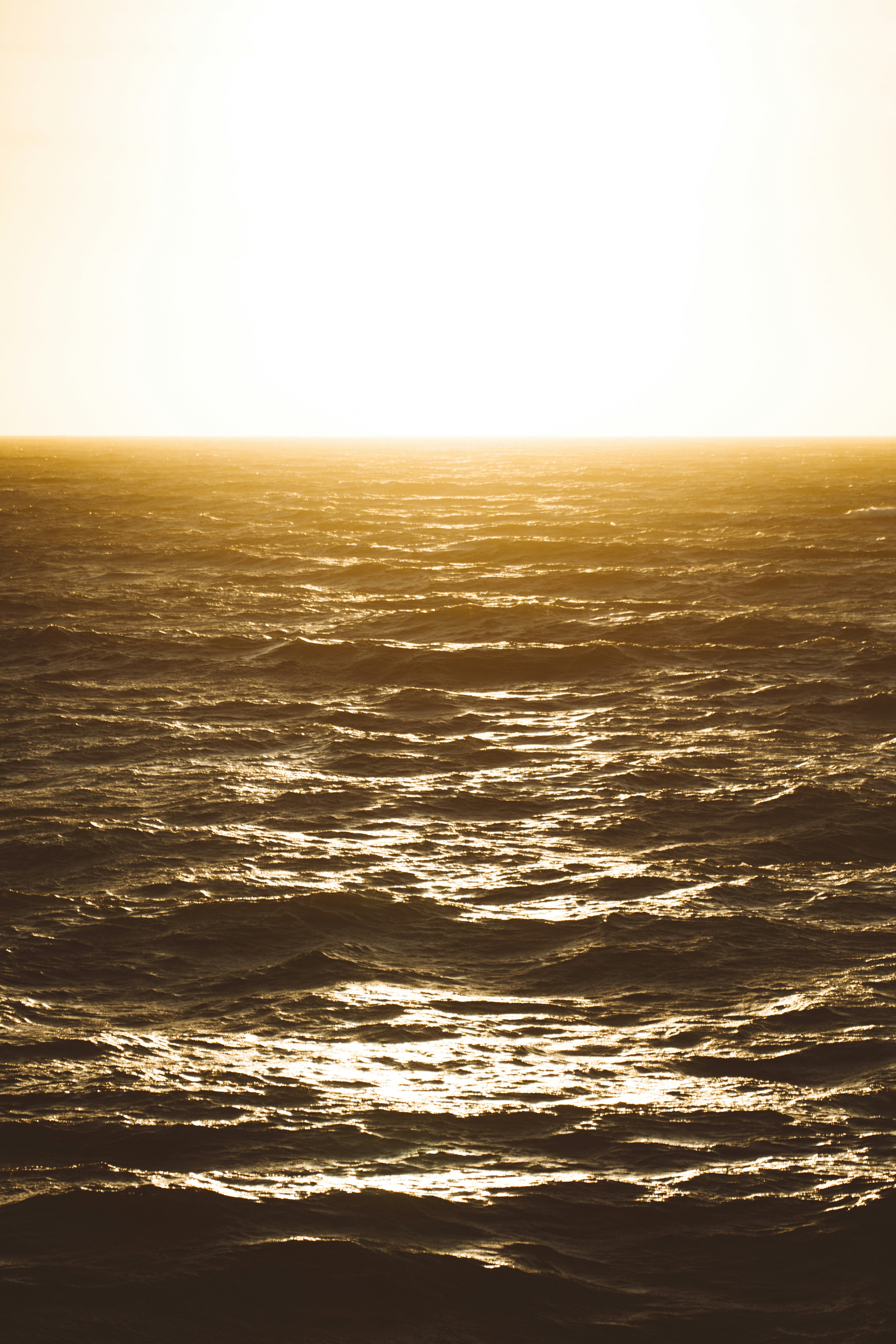 Photo by nate_dumlao