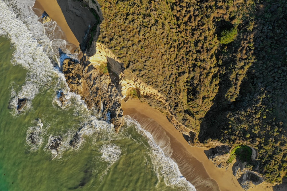 sea waves on shore