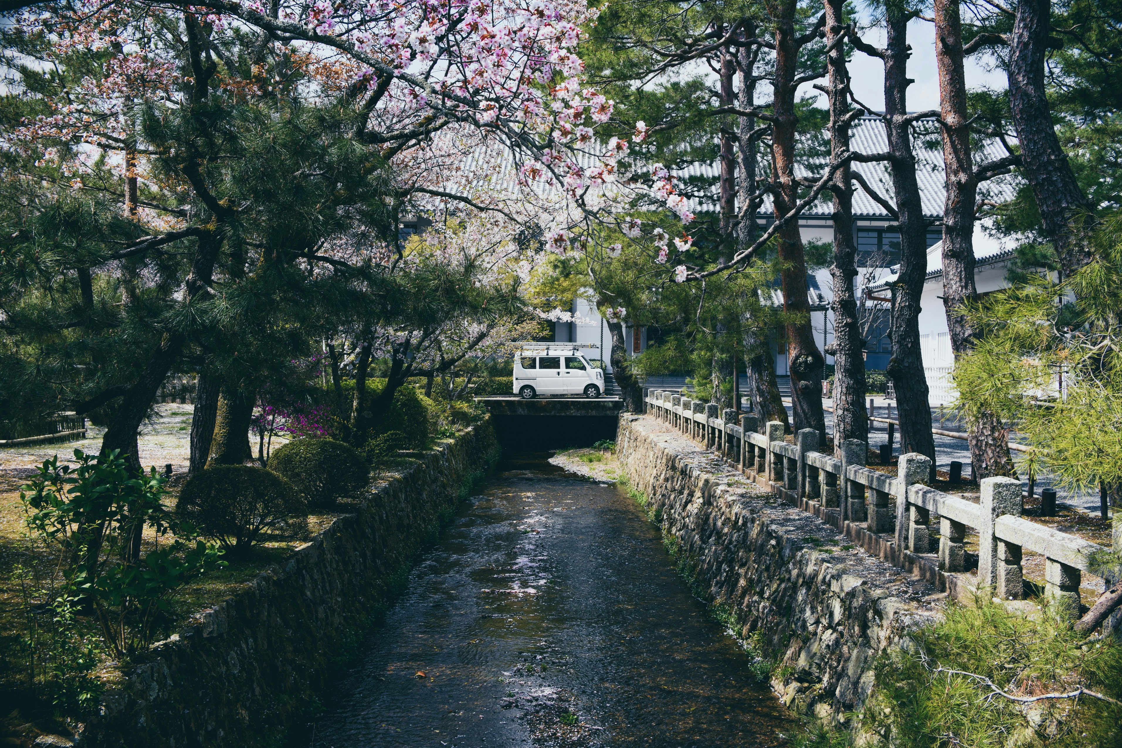 white vehicle on bridge near trees