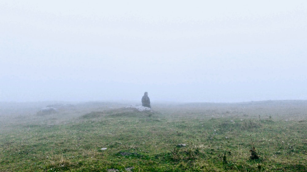 person sitting on grass field