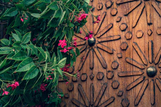 Brightly painted wooden door surrounded by lush greenery and blooming flowers.