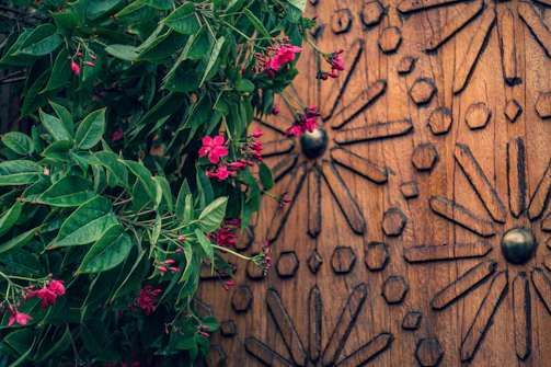Brightly painted wooden door surrounded by lush greenery and blooming flowers.