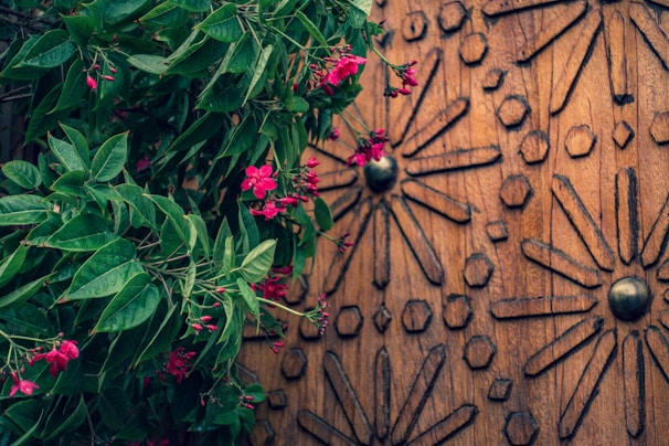 A vibrant paddy torana hanging gracefully on a traditional wooden door, sunlight filtering through.