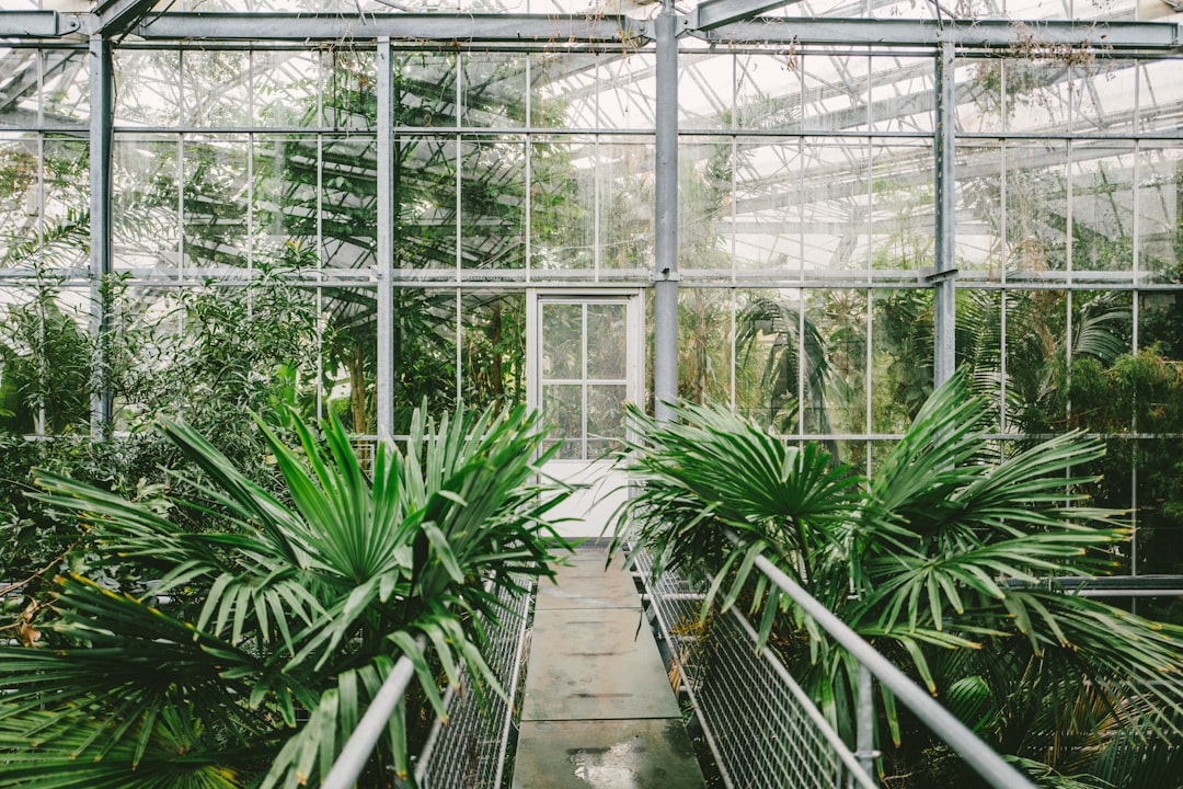7 Hidden Gems to Explore During a 48-Hour Amsterdam City Break - Wa… — 7 Hidden Gems to Explore During