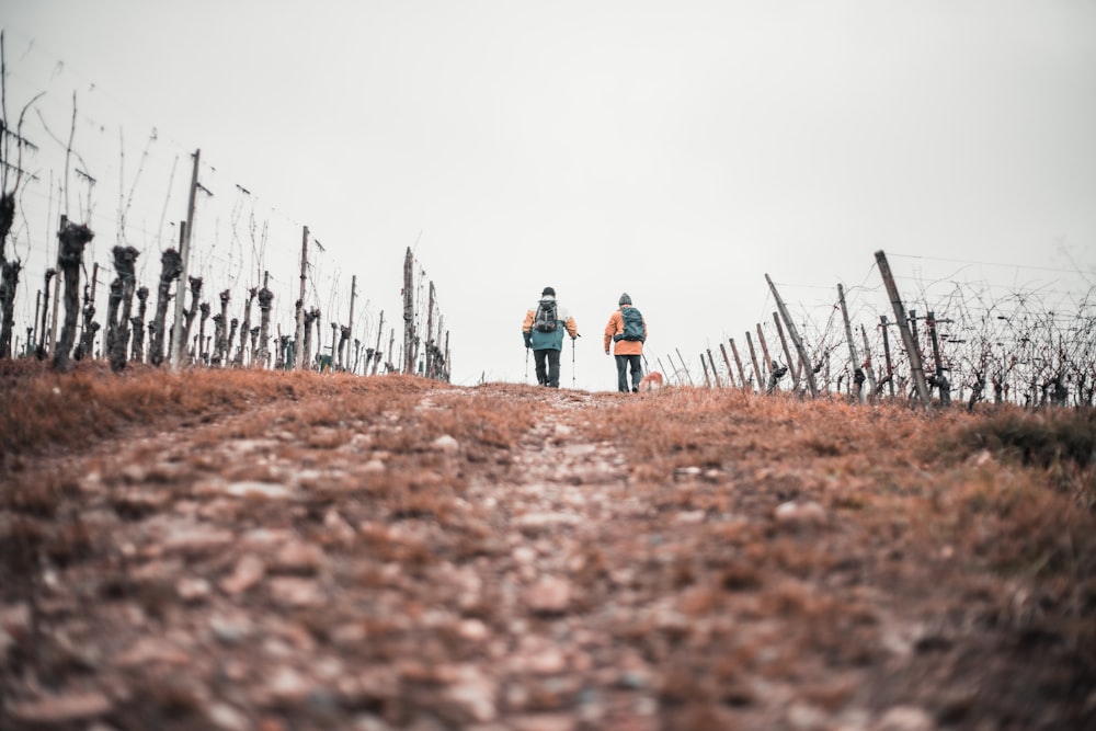 two men walking between fences