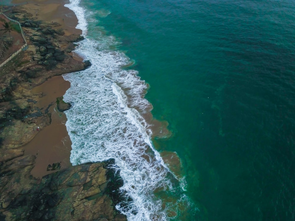 aerial photo of seashore and ocean