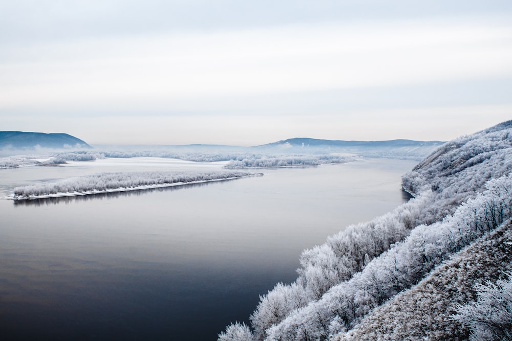 snow covered trees near frozen lake