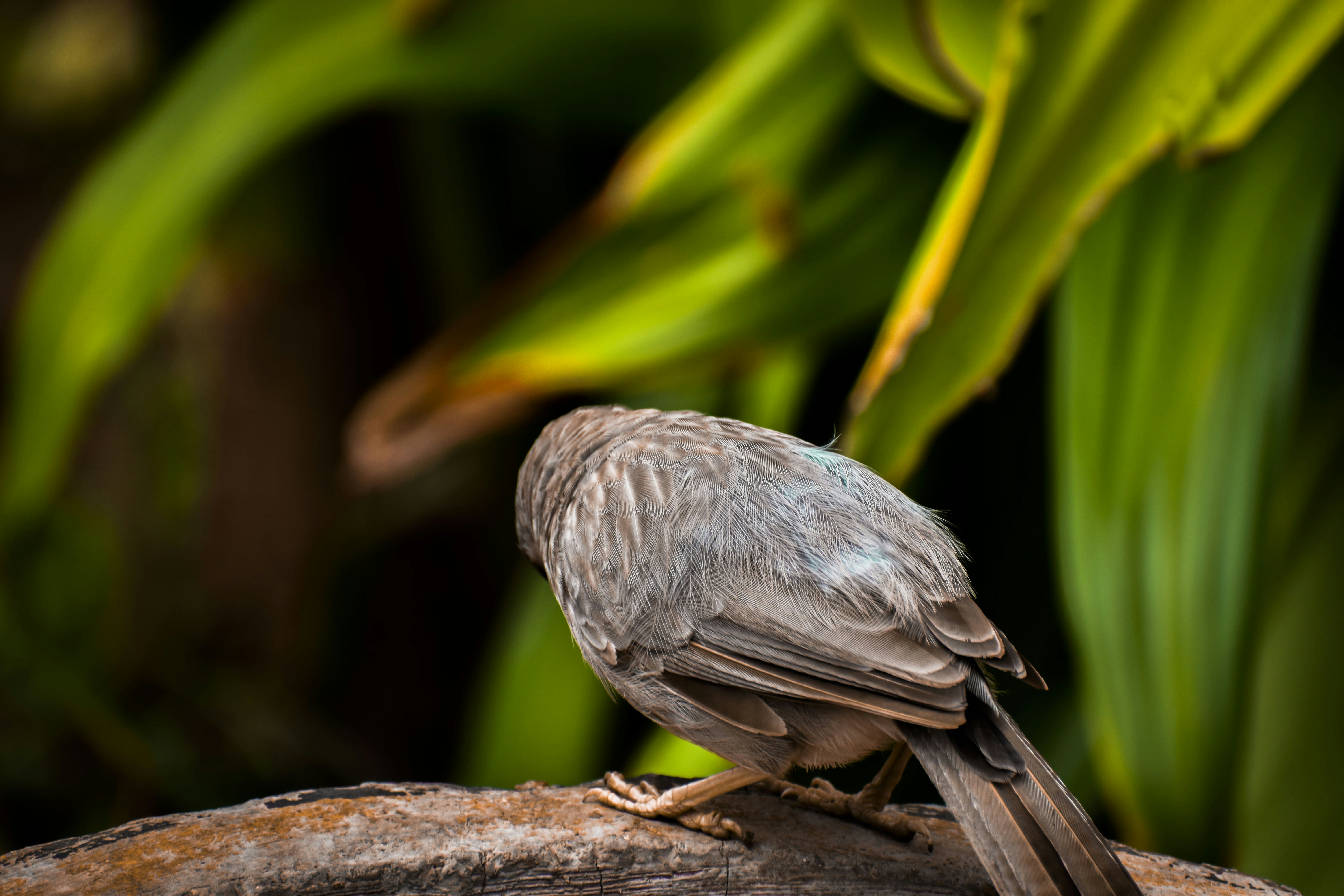 Photo by vandanpatel_