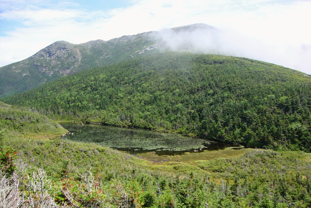 landscape photography of green mountain range