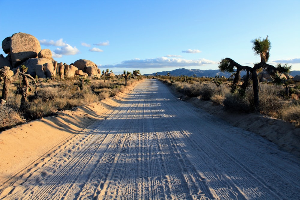 empty dirt road during daytime