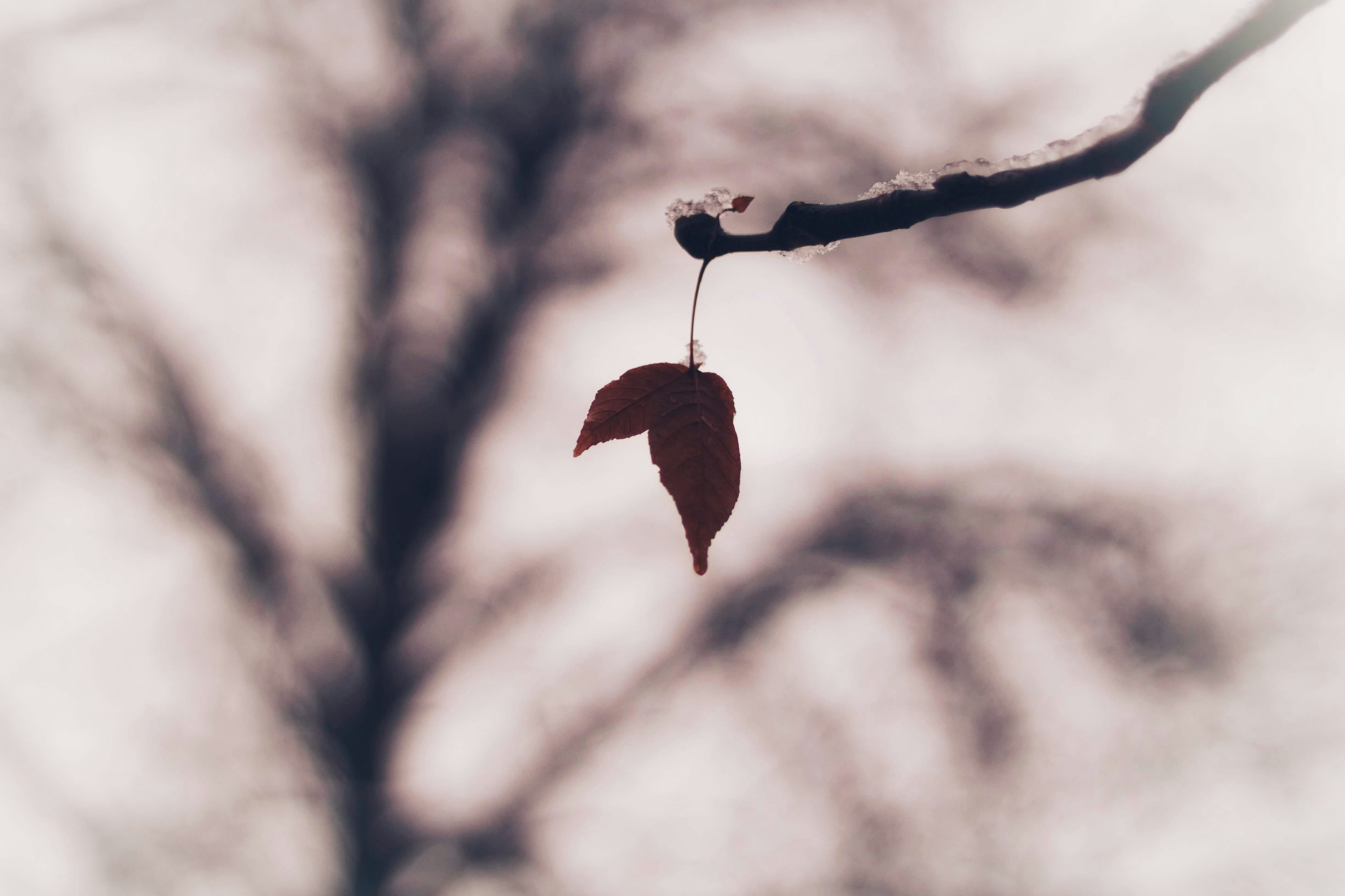 Photo by joshua_hoehne