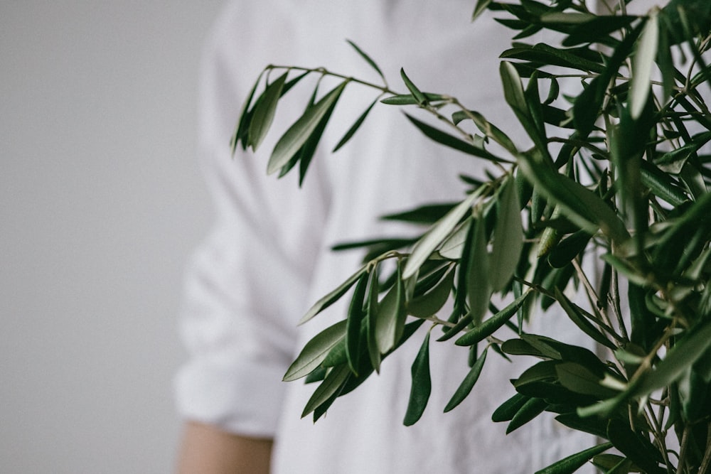 person standing in front of green plant