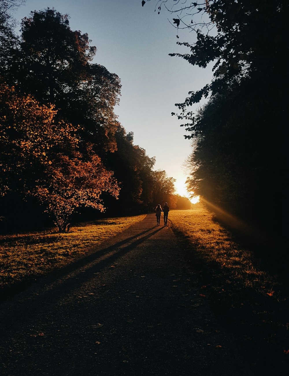 couple walking on road surrounded by trees during sunset