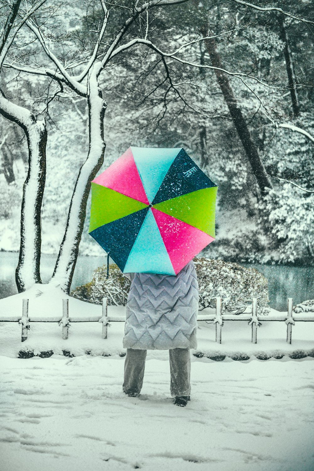 Fotografía de enfoque selectivo de persona sosteniendo paraguas