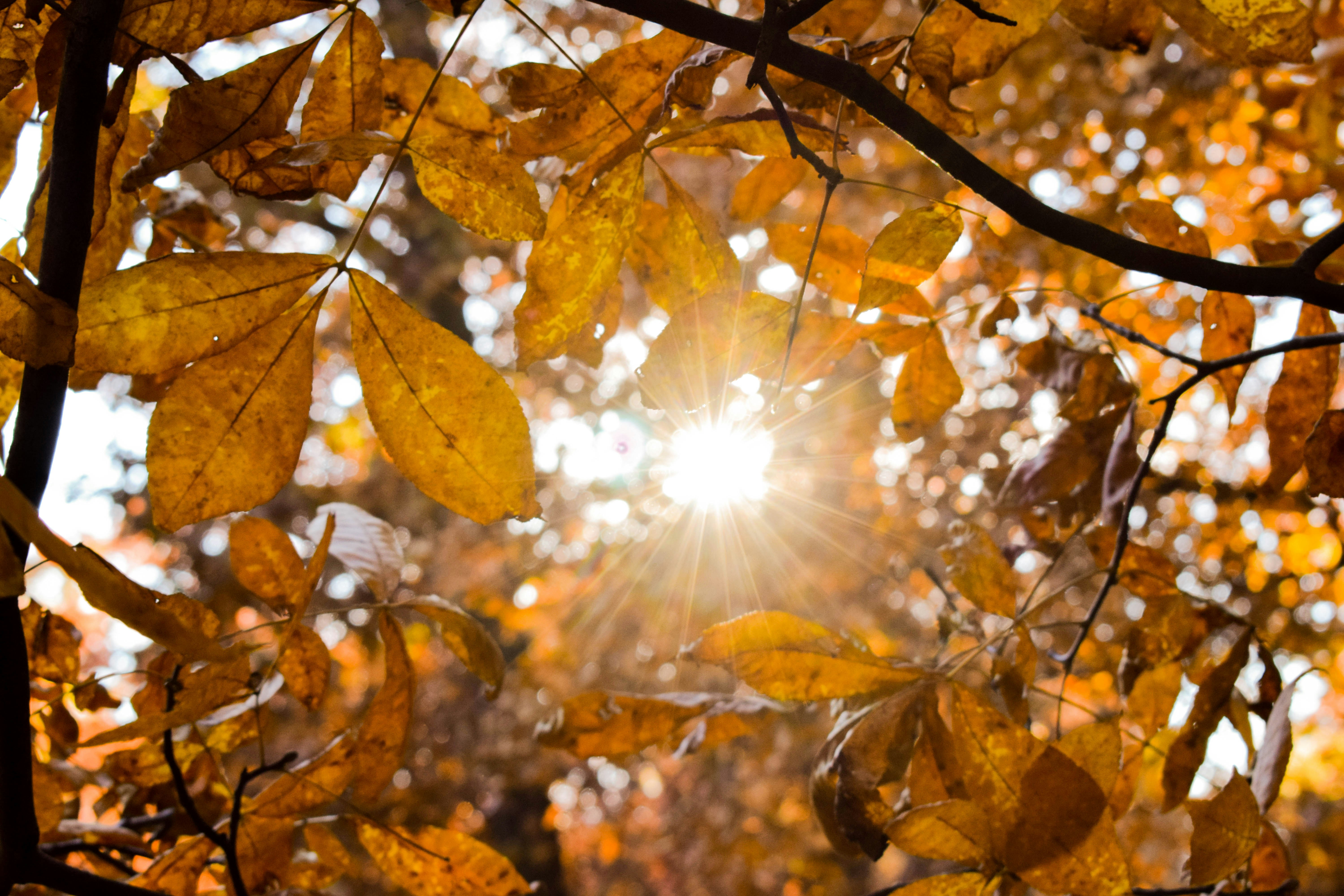 Photo by alexlowenthal