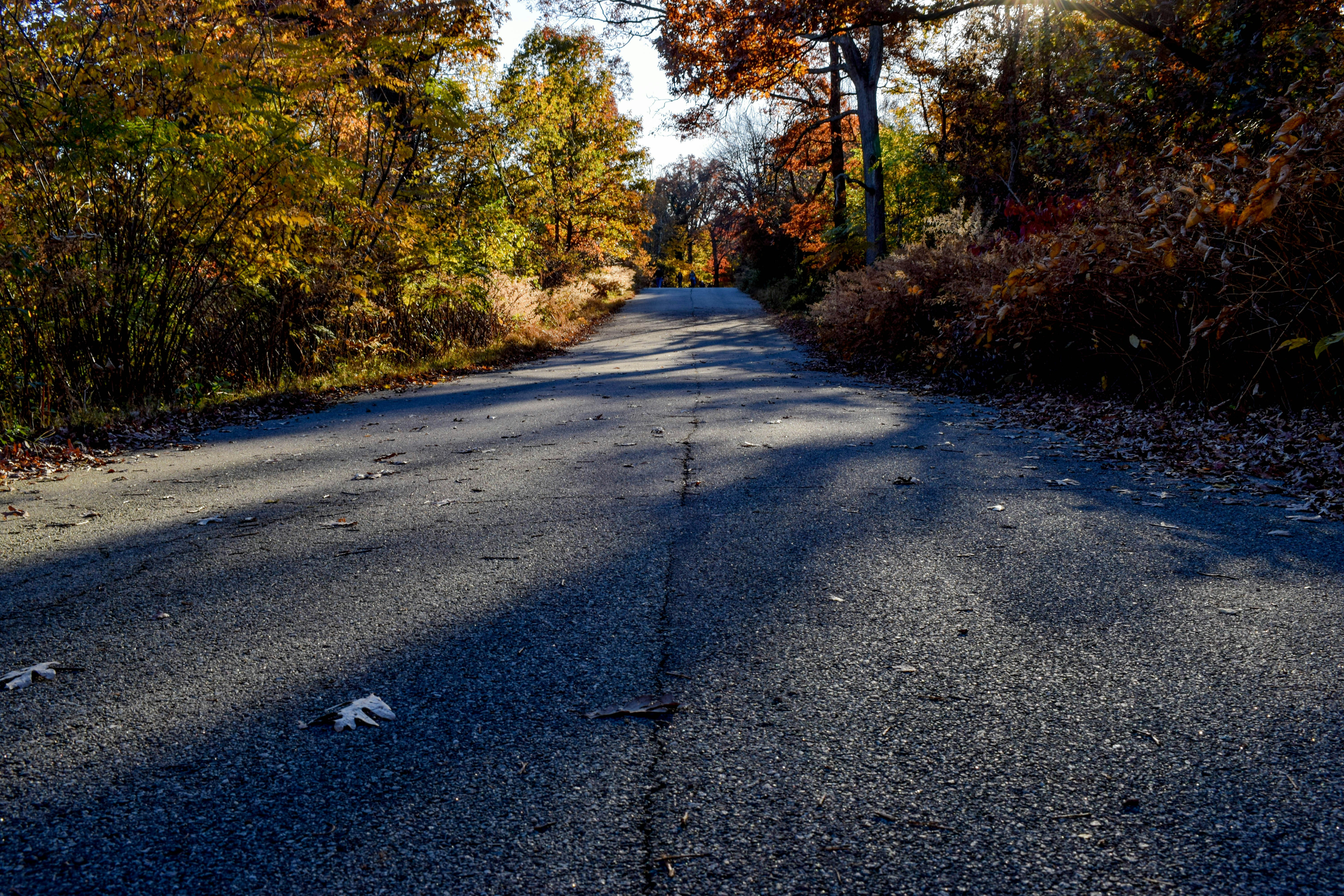 Photo by alexlowenthal